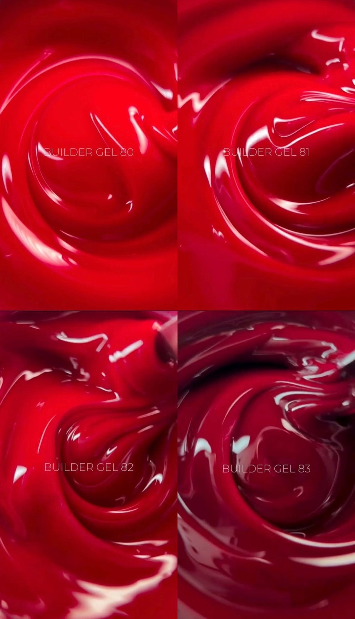 EDLEN builder gel 81