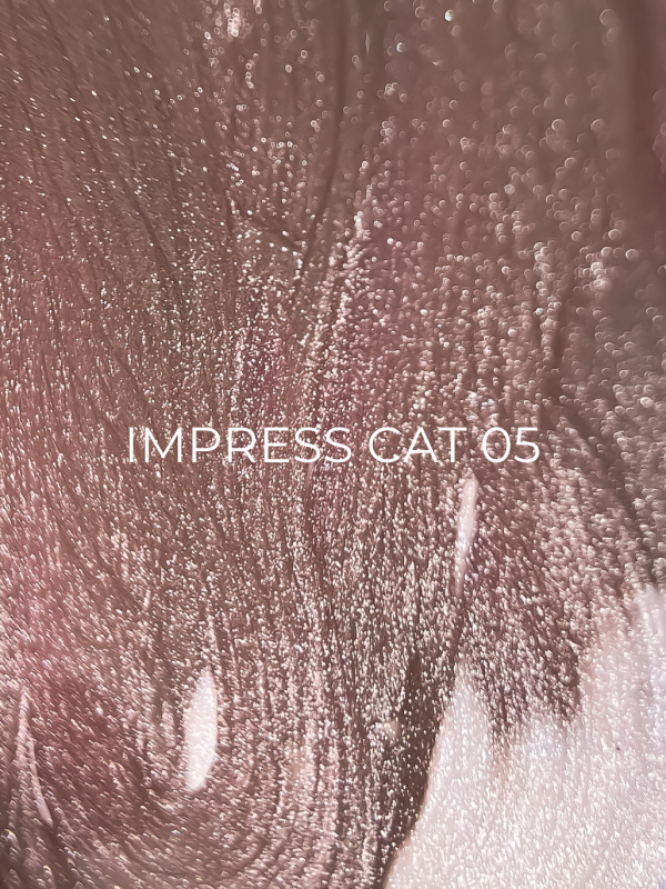 Impress Cat Edlen 5